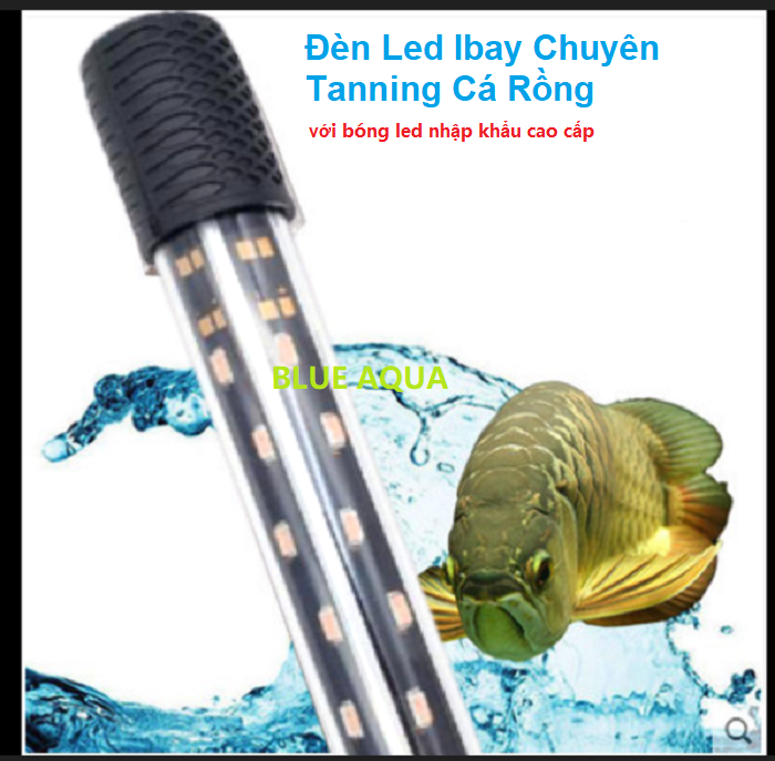 [HCM]Đèn Led Ibay Màu Vàng Chuyên Tanning Cá Rồng 100cm