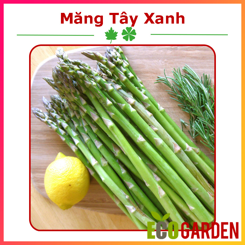 Hạt Giống Măng Tây Xanh