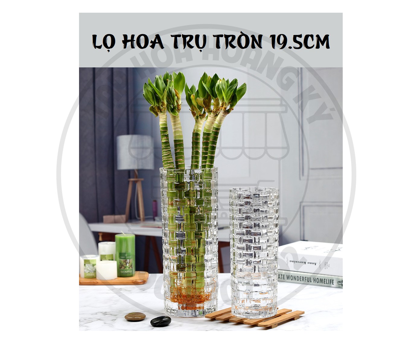 Lọ hoa trụ tròn thủy tinh cao cấp – cao 19.5cm