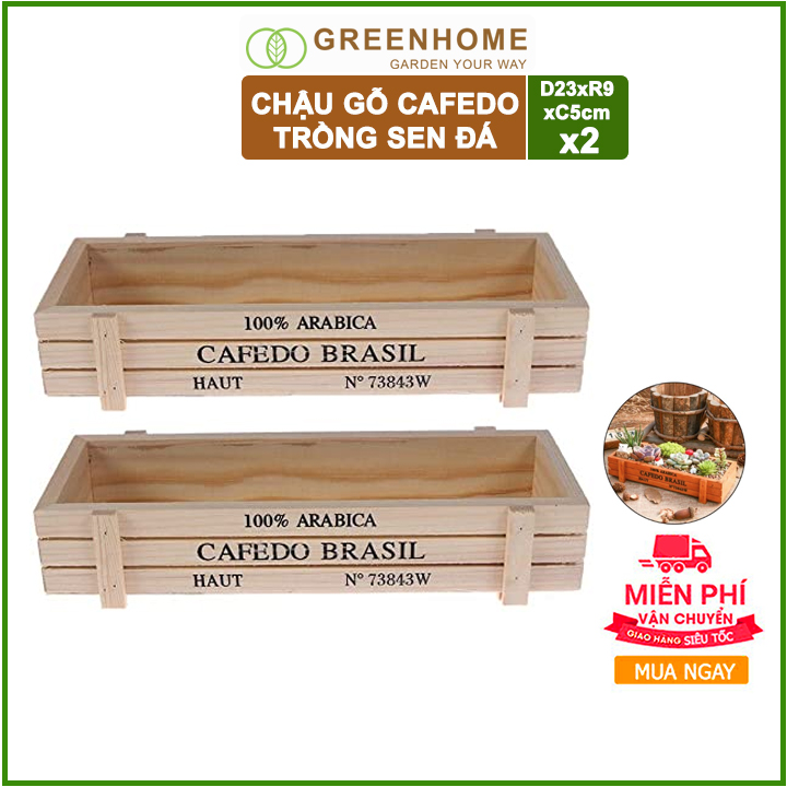 Bộ 2 Chậu gỗ trồng sen đá xương rồng cây cảnh để bàn tiểu cảnh Cafedo 22x9x4cm màu Gỗ