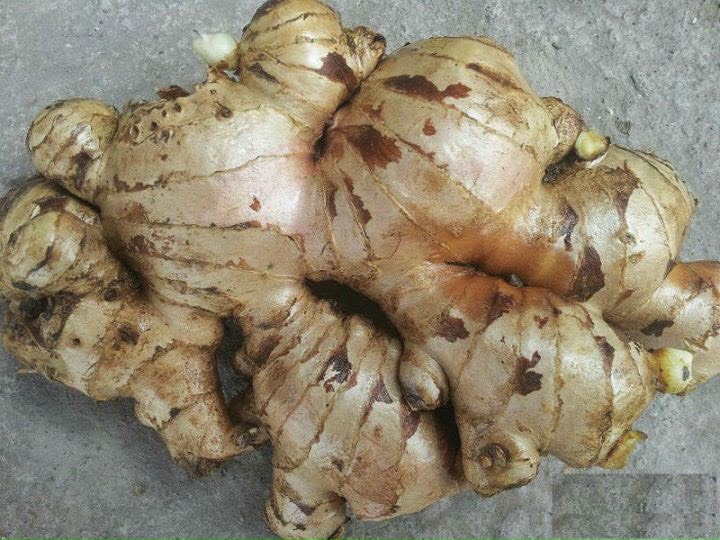 (HCM) CỦ GỪNG TƯƠI GỪNG GIÀ TÂY NGUYÊN 1KG.