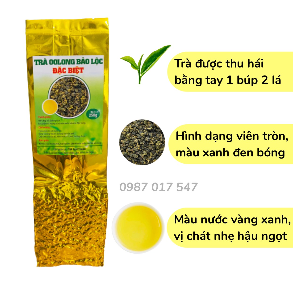 Trà Oolong Bảo Lộc Đặc Biệt - Ô long đậm vị, hương thơm tự nhiên