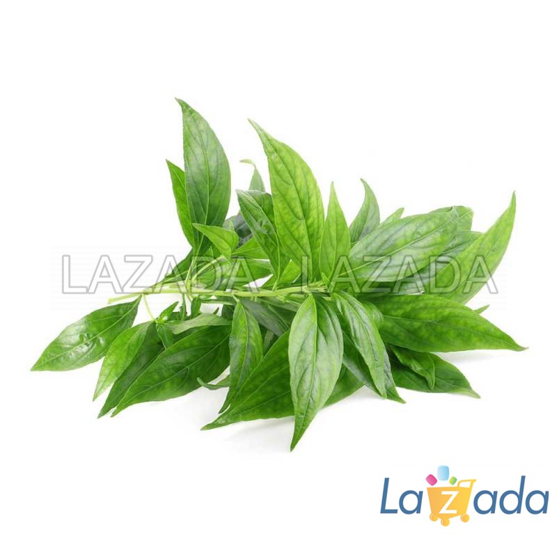 1gr 700.hạt hạt giống xuyên tâm liên