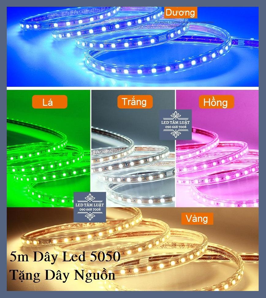 [HCM]5M Dây Led 5050 220V Ống Nhựa Chống Nước IP65 Tặng Kèm Dây Nguồn Ánh Sáng Trắng/Vàng/Xanh Lá/Xanh Dương/Hồng (Đồ Đẹp Lạ Shop)