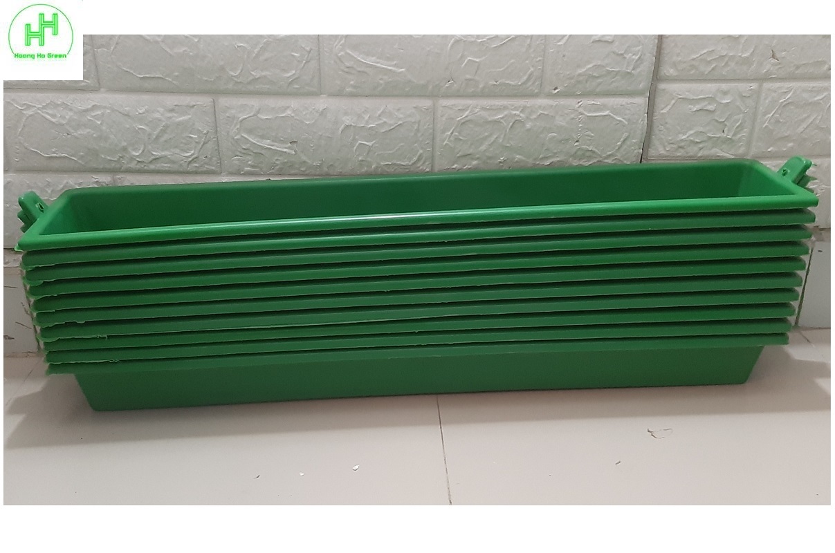 10 Máng/Khay Ăn, Uống, Phụ Kiện Nuôi Gà, Chim, Chim Cút Kích Thước 65x12.5x7Cm