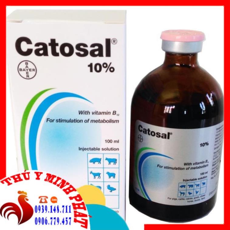 Catosal 100ml hàng chính hãng