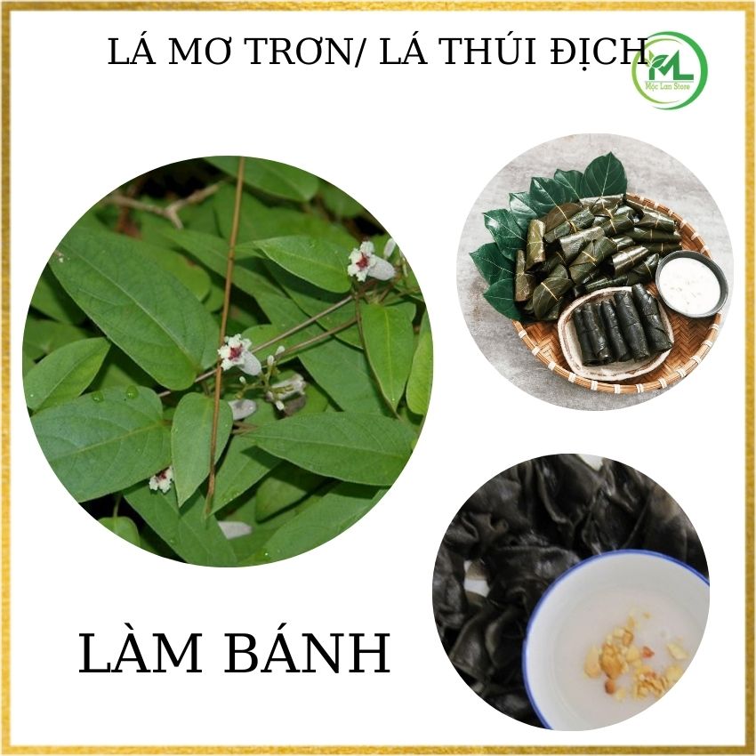 [KM] Lá Mơ trơn , lá thúi địch làm bánh rau mơ , gói 200gr , đặt hàng mới hái , luôn tươi, MộcLan store