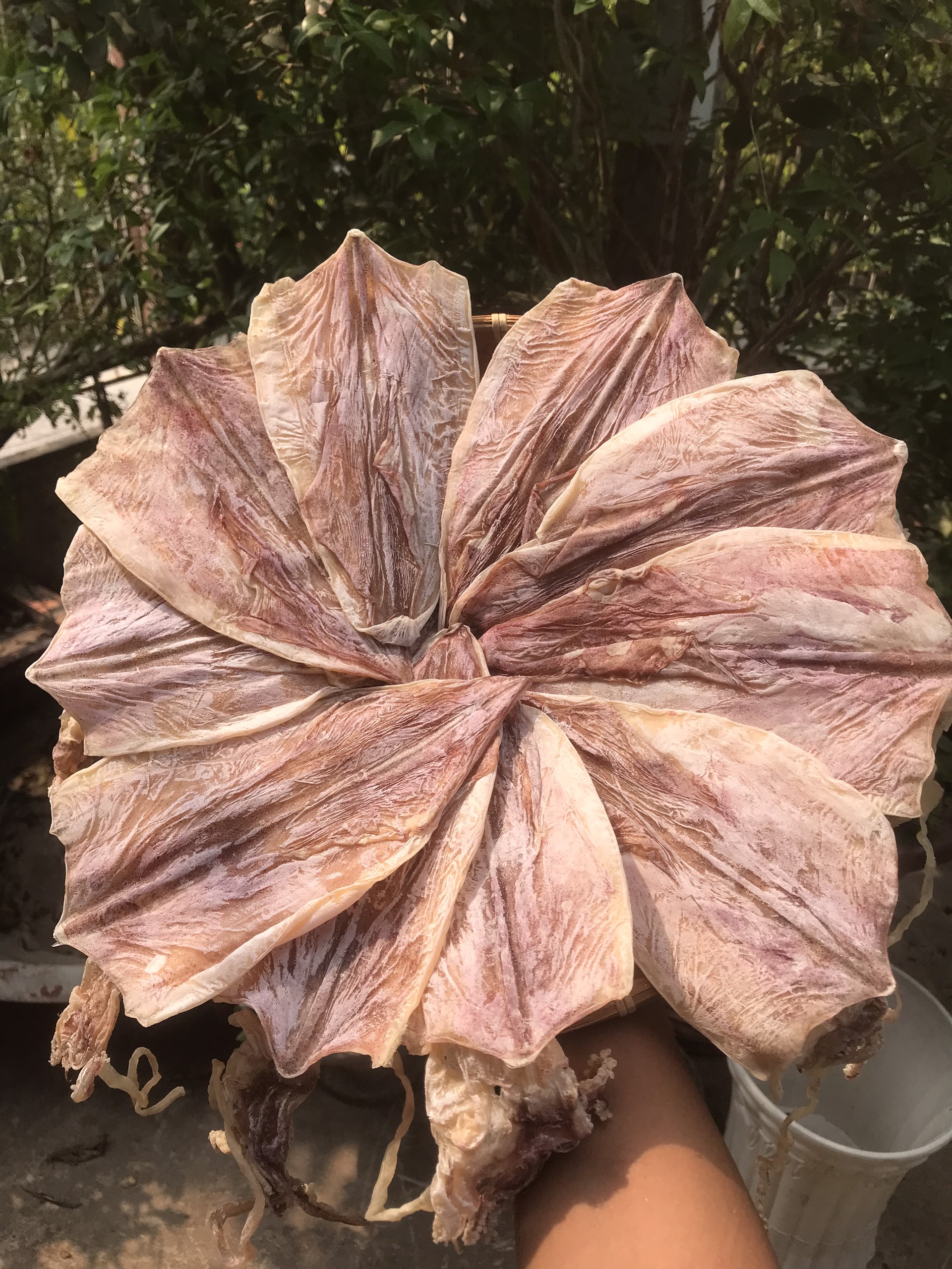 Khô mực cào cạn loại 25-30 con 1 kg - thực phẩm quê nhà minh khang