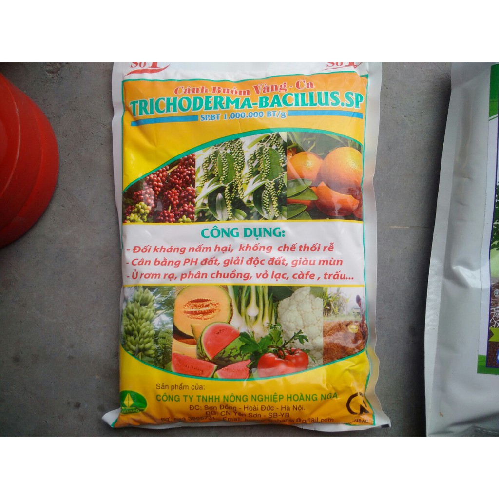 Nấm đối kháng Trichoderma-Bacillus.sp (1000 gr )