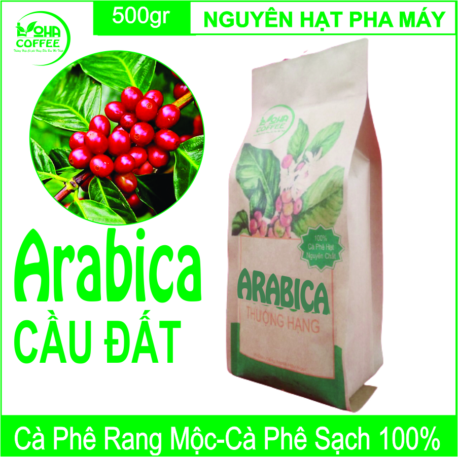 500gr cà phê hạt arabica đà lạt rang mộc dạng hạt pha máy -loha coffee