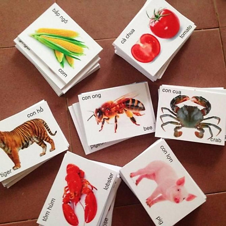 Đồ chơi trẻ em thông minh Bộ thẻ học flash card 16 chủ đề gồm 416 thẻ song ngữ cho bé từ 2-5 tuổi