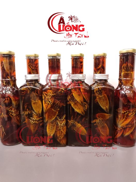 Nước mắm cà cuống dòng hảo hạng 10 con đậm đặc - 500ml