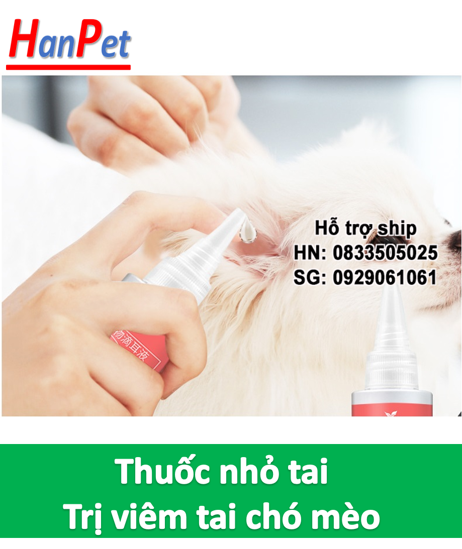 Hanpet - 60 Ml EAR DROP Dung dịch nhỏ tai chó mèo tặng 1 gói bông tai Dụng cụ chống viêm tai giữa và thối tai trên chó và mèo