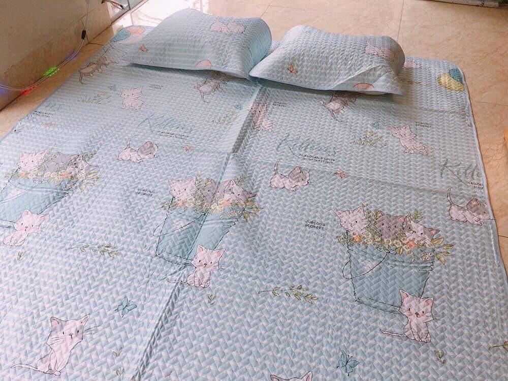 Chiếu Điều Hòa Tencel Hàng Nội Địa