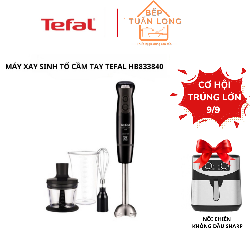 Máy xay sinh tố cầm tay tefal hb833840