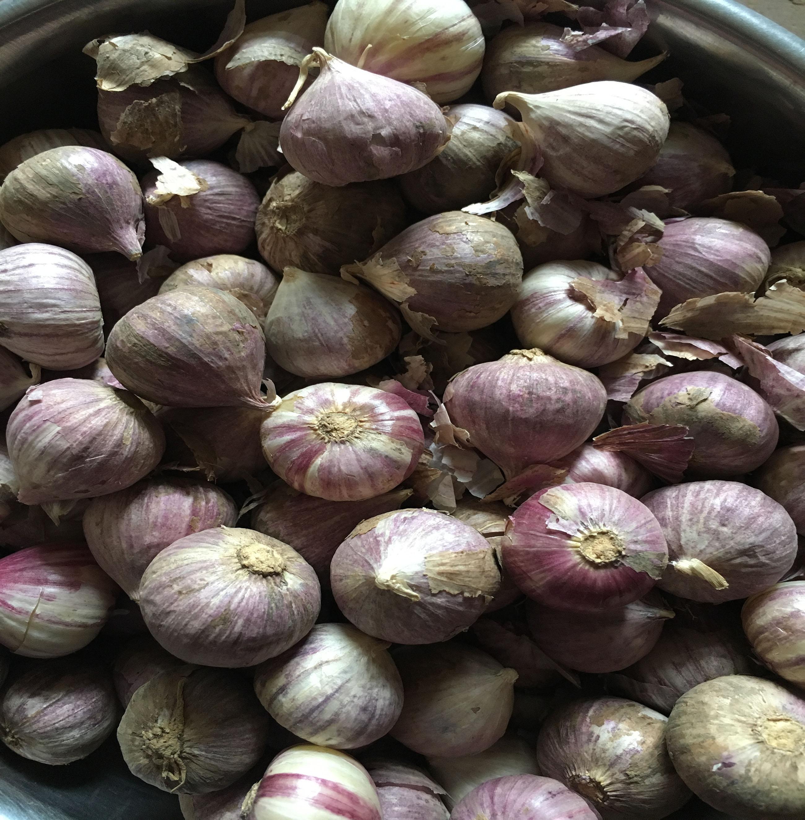 Tỏi cô đơn -làm tỏi đen 2kg