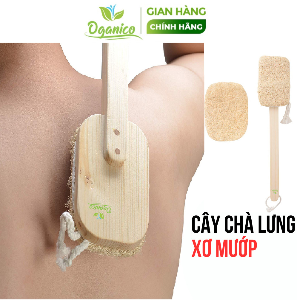 Cây cọ lưng / bán sỉ / cây chà lưng xơ mướp vi lâm cclt