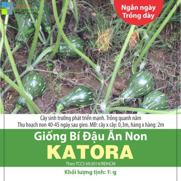 Hạt giống bí đậu ăn non nhiều trái dễ trồng _gói 1gram .