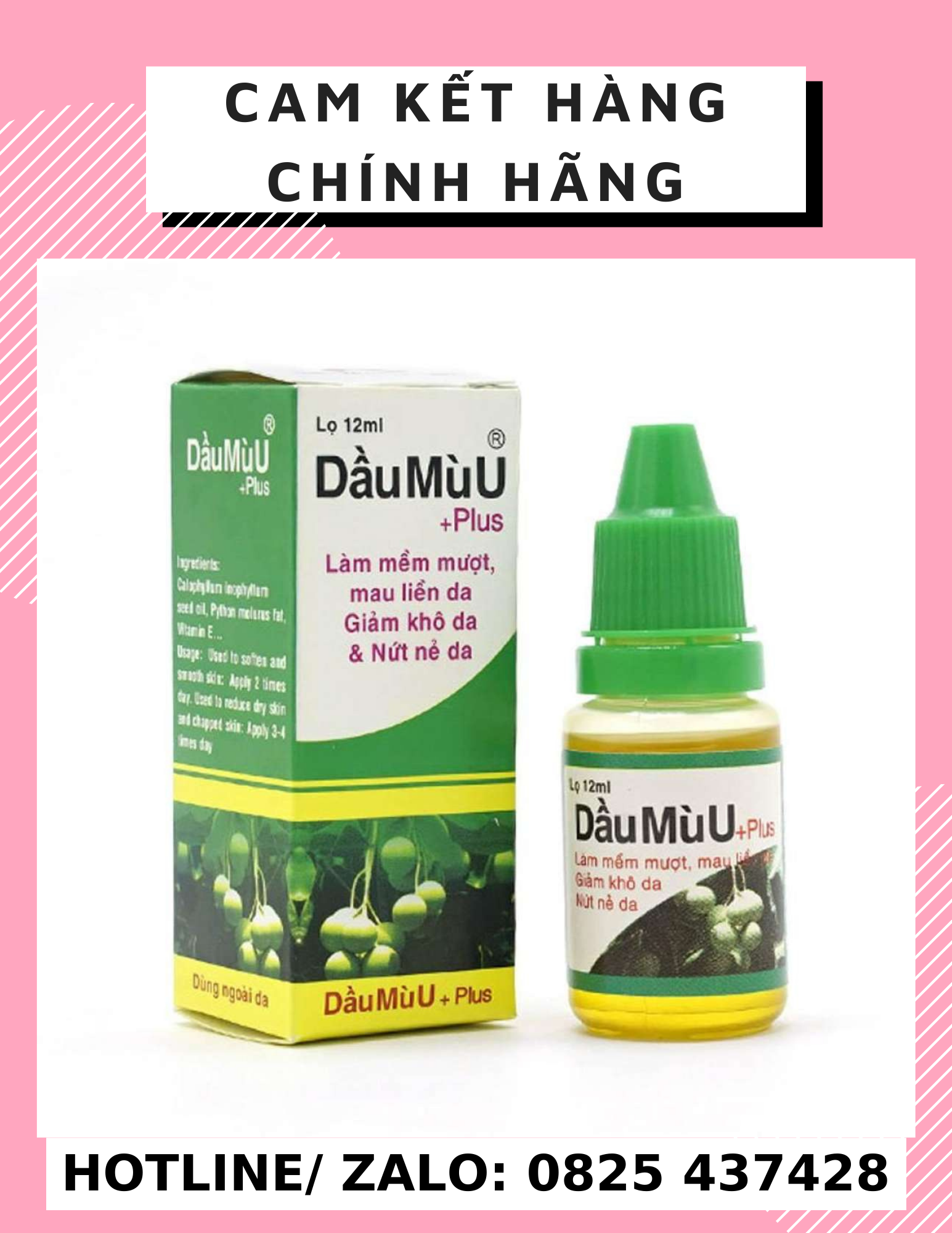 Combo 5 chai dầu mù u