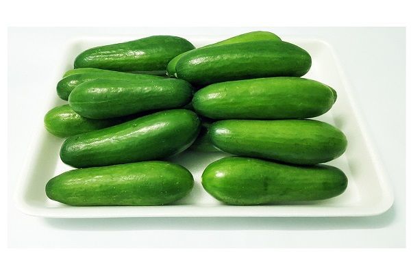 20 Hạt giống Dưa chuột bao tử Ali tặng kèm kích mầm