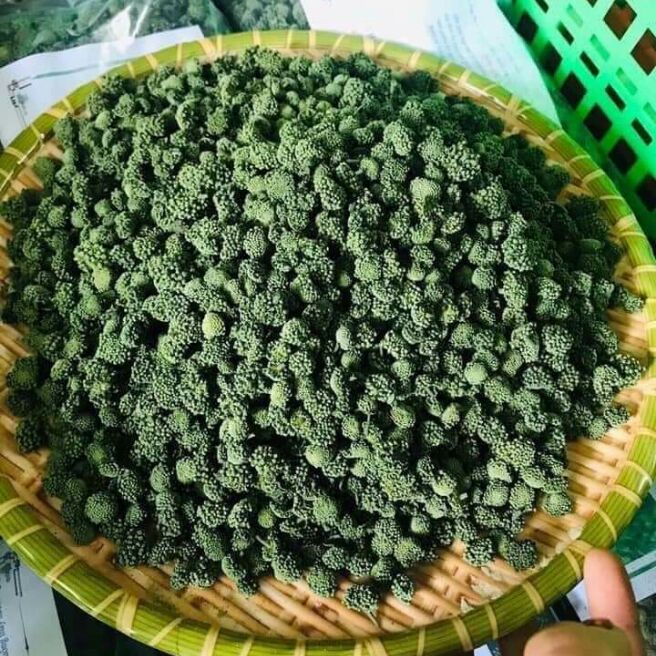 500g nụ tam thất bao tử