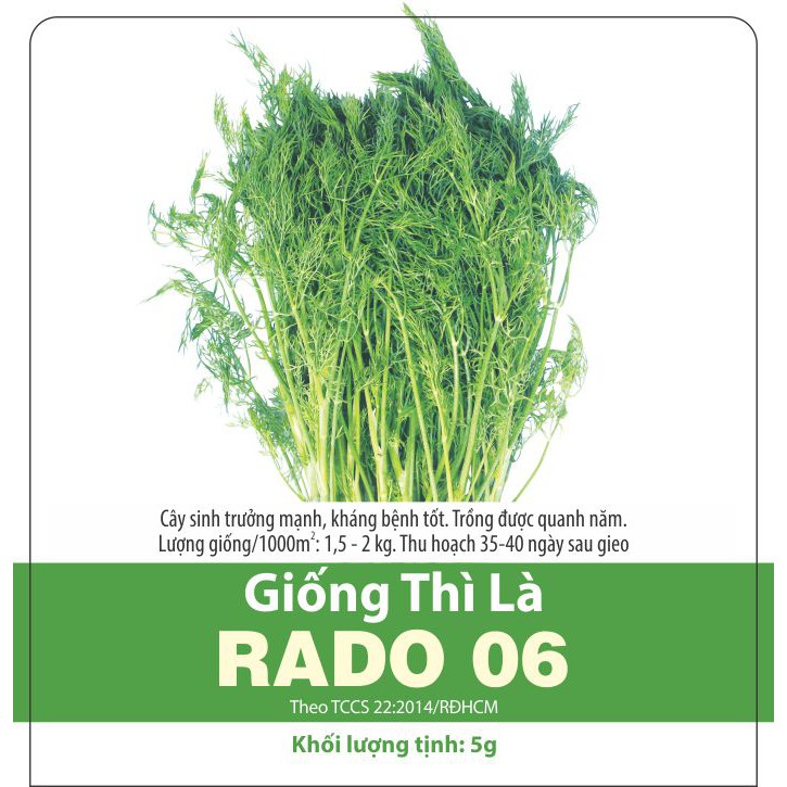 Hạt giống rau thì là rạng đông chịu nhiệt 5gram