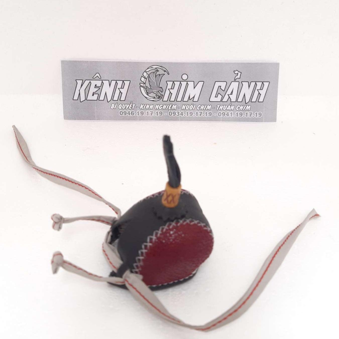 mũ chim săn mồi diều trắng-kênh chim cảnh