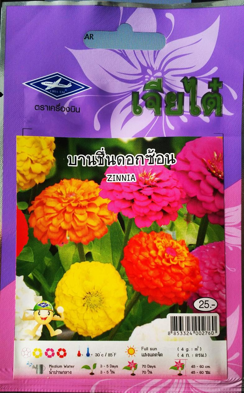[HCM]HẠT GIỐNG HOA THÁI LAN : CÚC LÁ NHÁM NHIỀU MÀU _GÓI 4gram.(rất nhiều hạt) -tặng kèm gói phân .