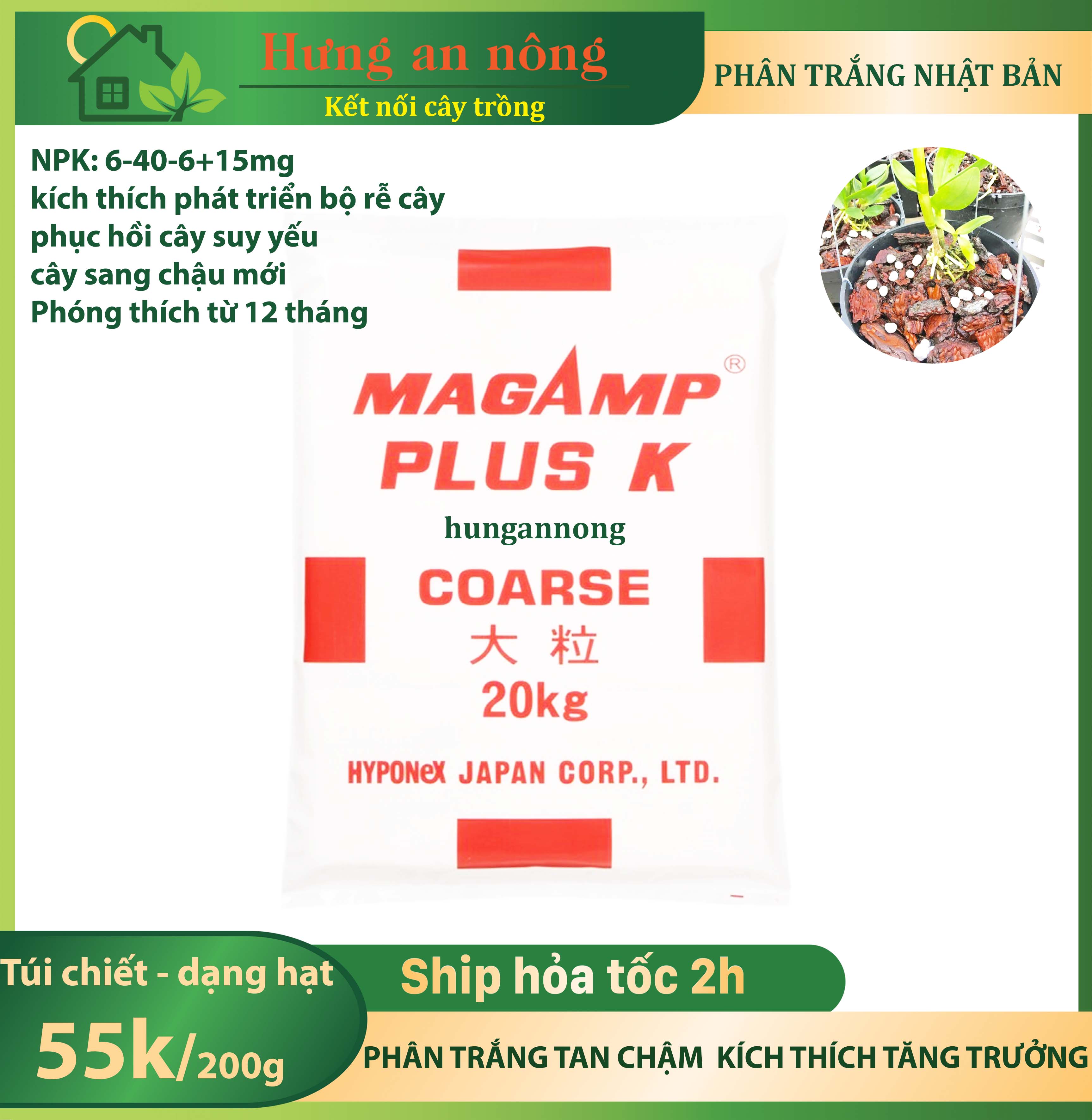 Túi 200g NPK 6-40-6+15mg phân trắng Nhật Bản MagampK tan chậm kích thích rễ, tăng trưởng phóng thích từ 12 tháng