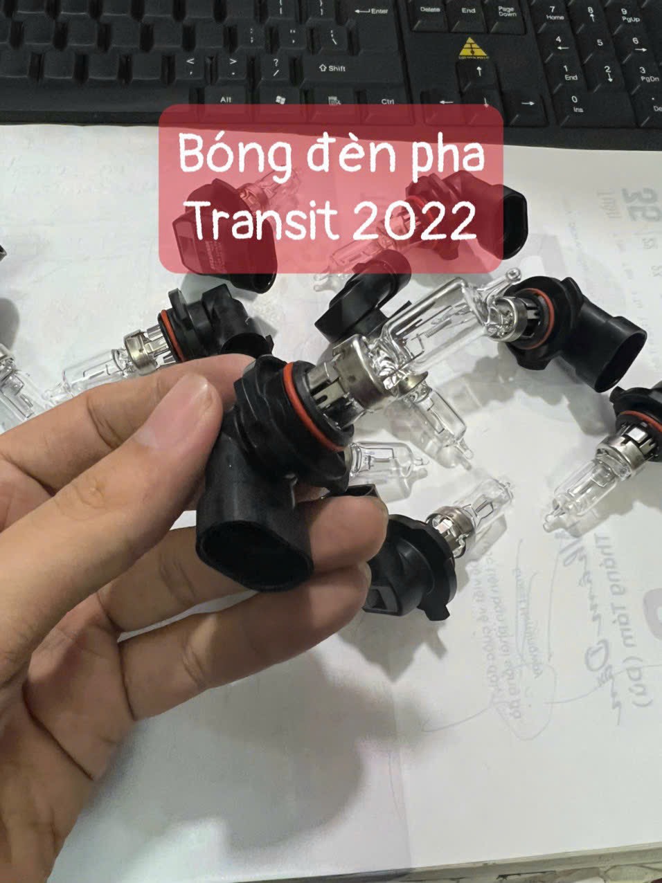 Bóng đèn pha ford transit 2022 chính hãng Phạm văn auto