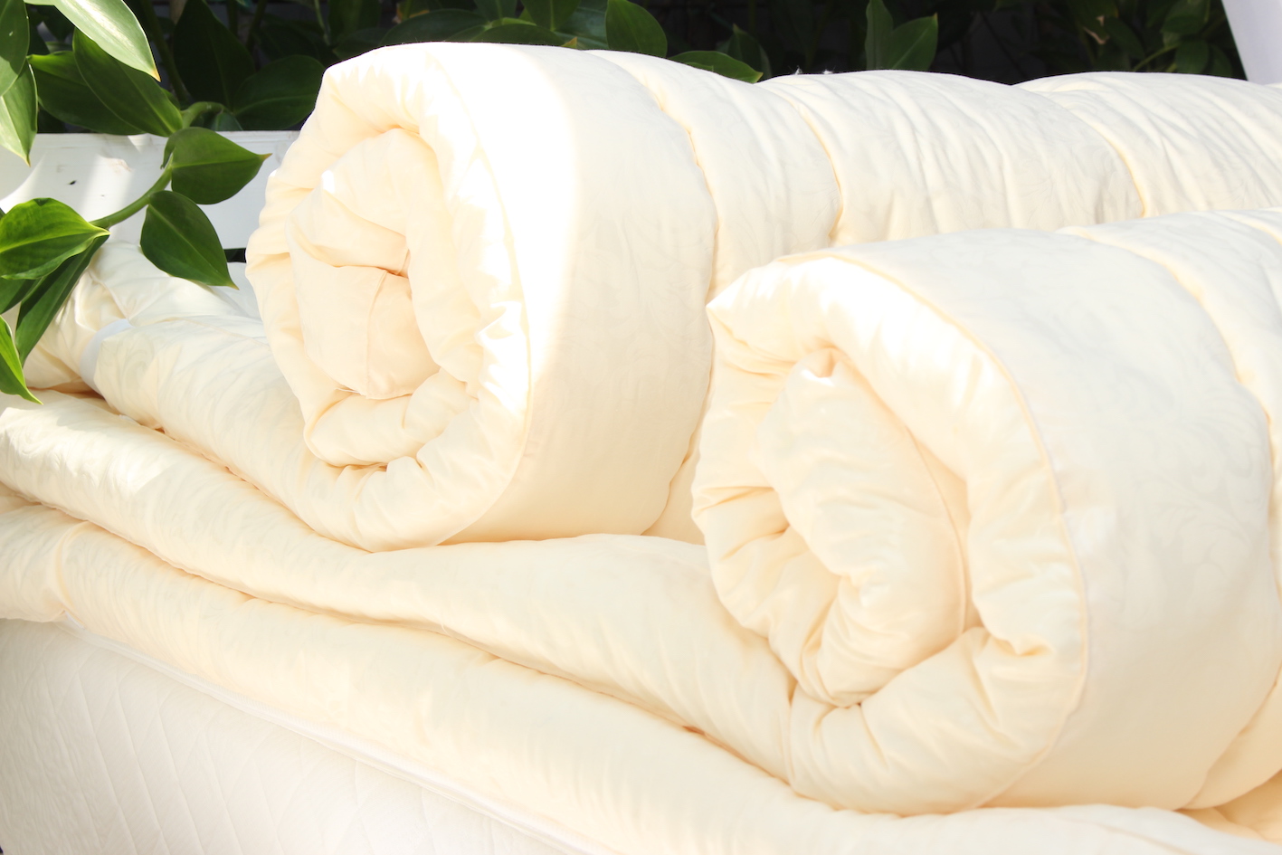 Topper nệm Hoàng Gia Edena