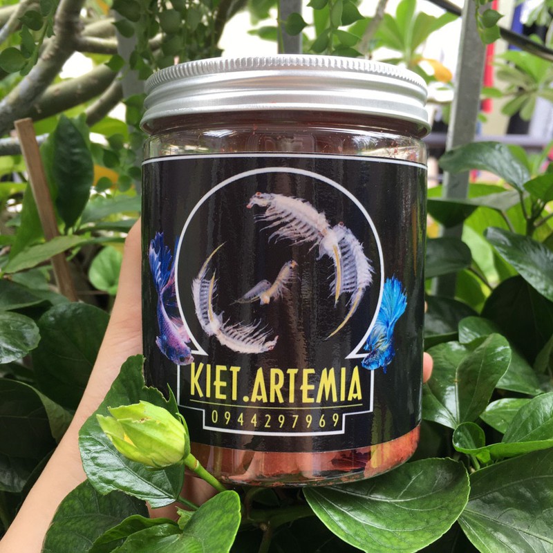 Artemia sấy khô dạng lá