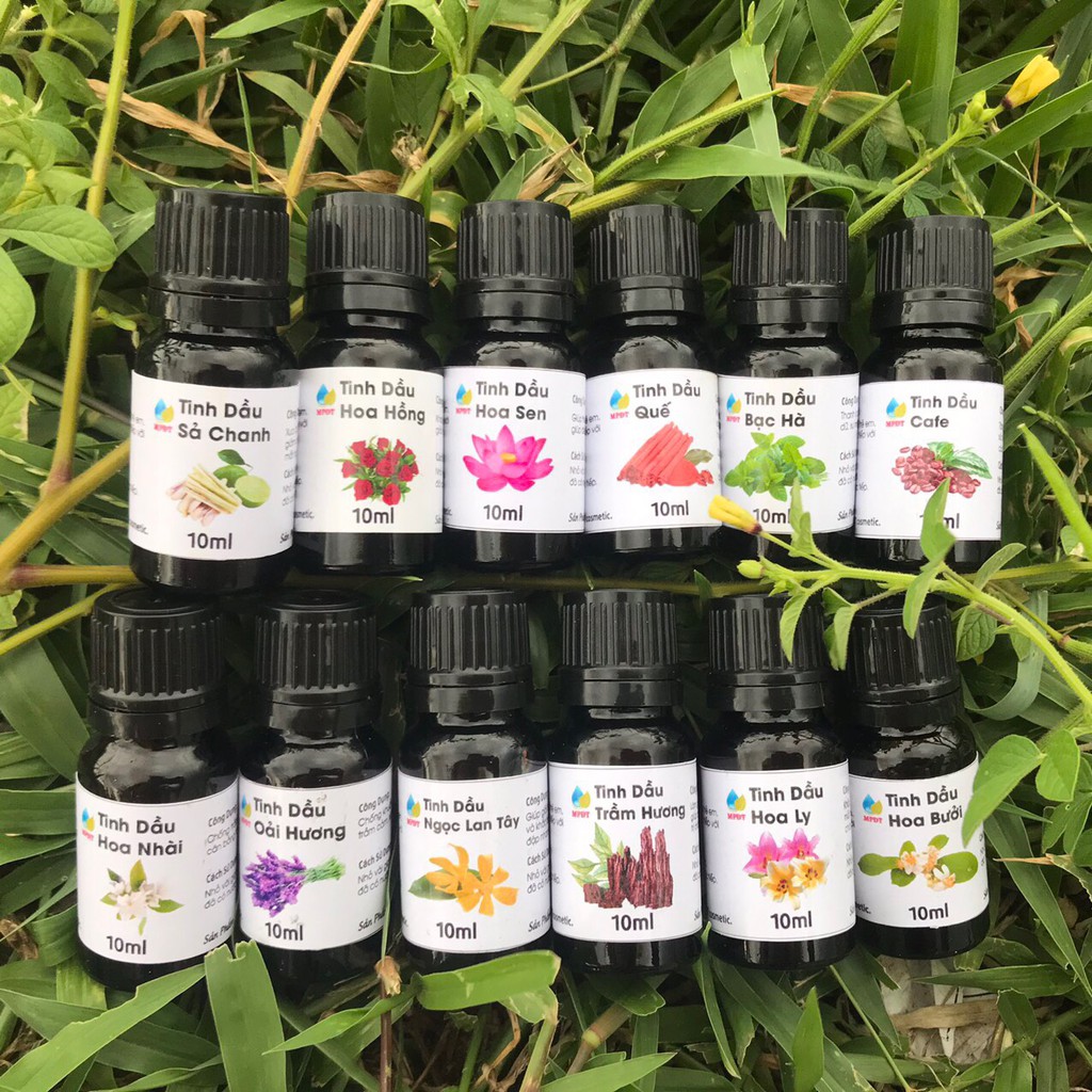 Tinh Dầu Hoa Hồng/Sả Chanh/Oải Hương/Cafe/Hoa Hồng/Hoa Nhài/Bưởi/Bạc Hà/Hương Trầm/Ngọc Lan Tây/Quế/Cam/Sen. .,,