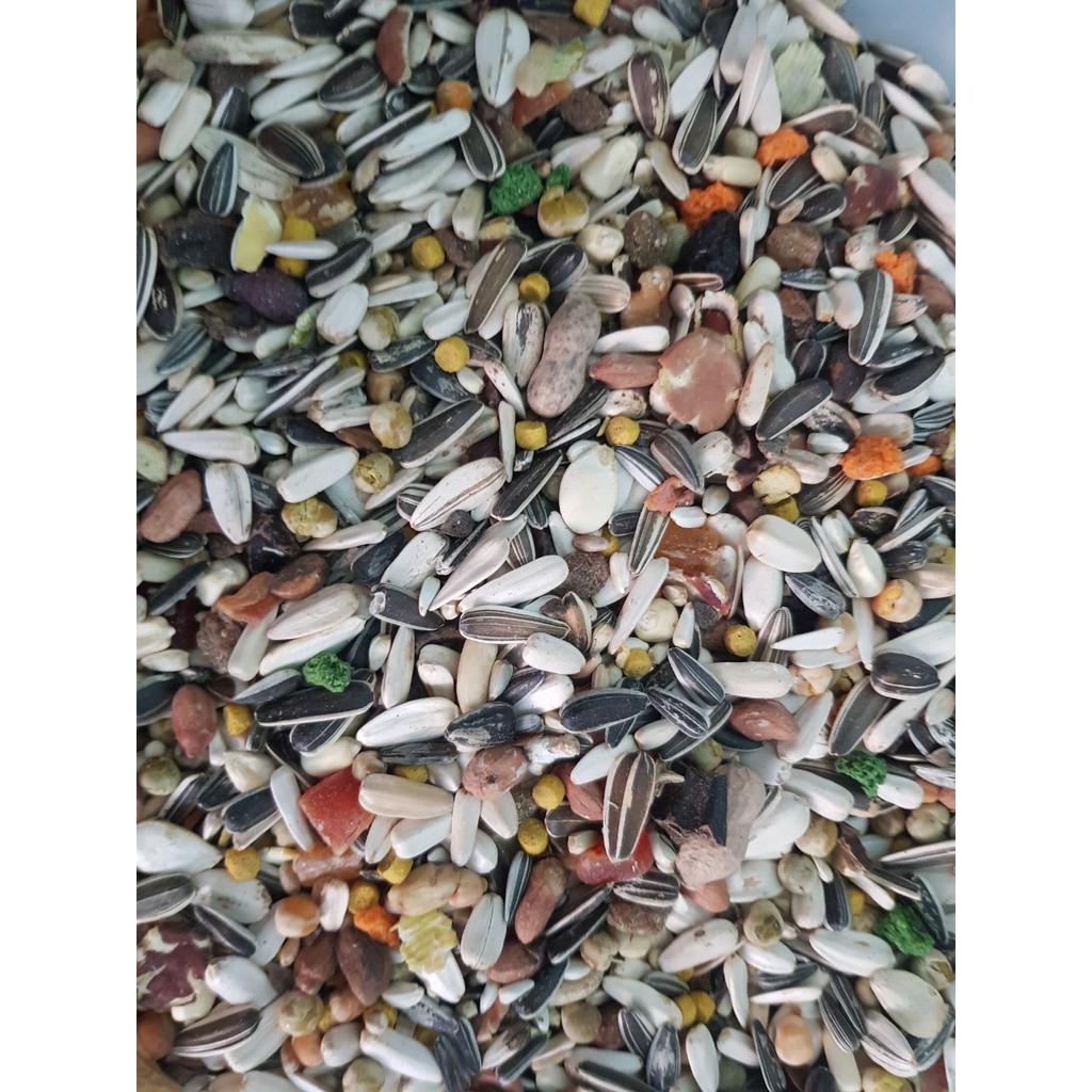 Hạt trộn cho vẹt lớn gói 500g/1kg