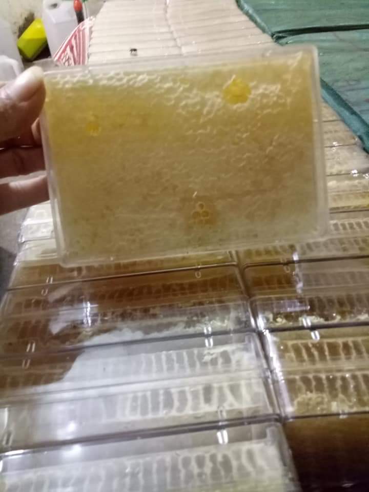 Mật ong bánh tổ nguyên sáp 500 gram giá chỉ 159000