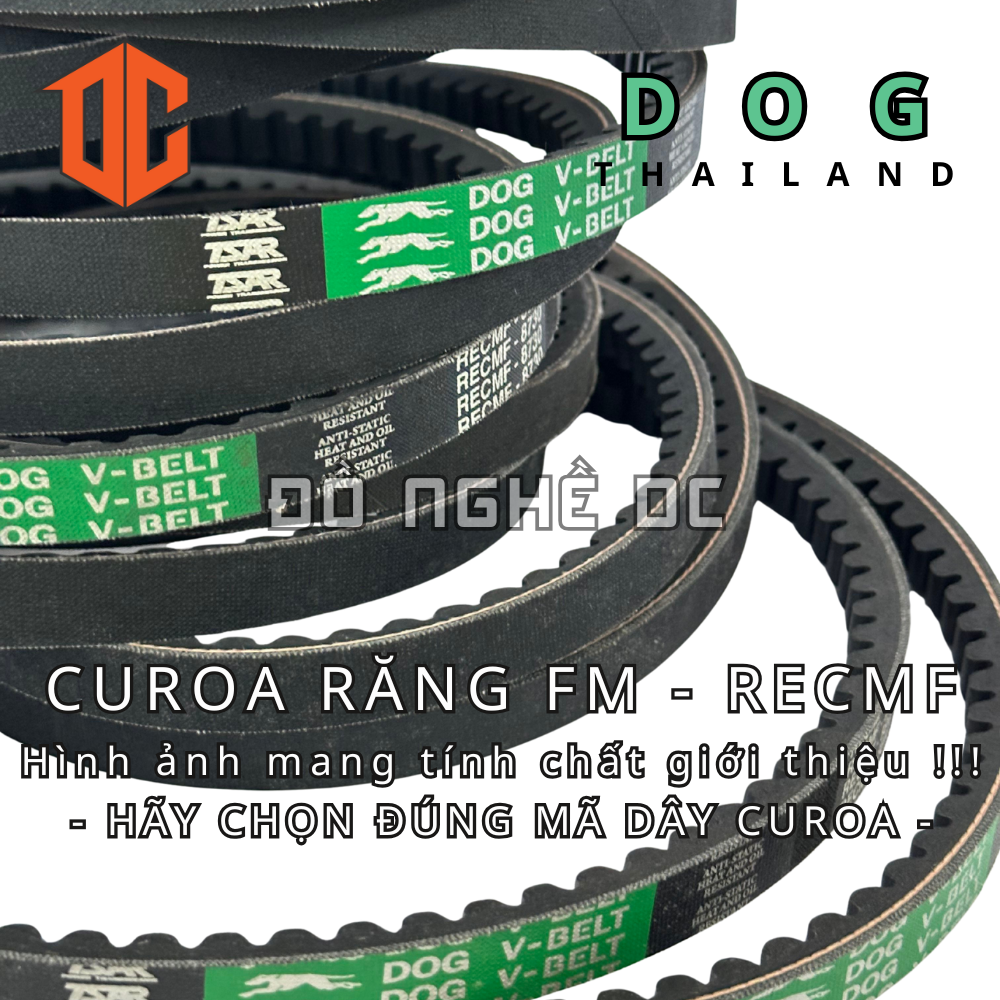 Dây curoa RECMF DOG FM FM44 FM21 FM28 FM49 FM67 FM64 FM94 FM21 FM29 FM82 FM82 FM86 FM39 FM35 FM97 FM28 FM50 FM98 FM98 FM25 FM46 FM51