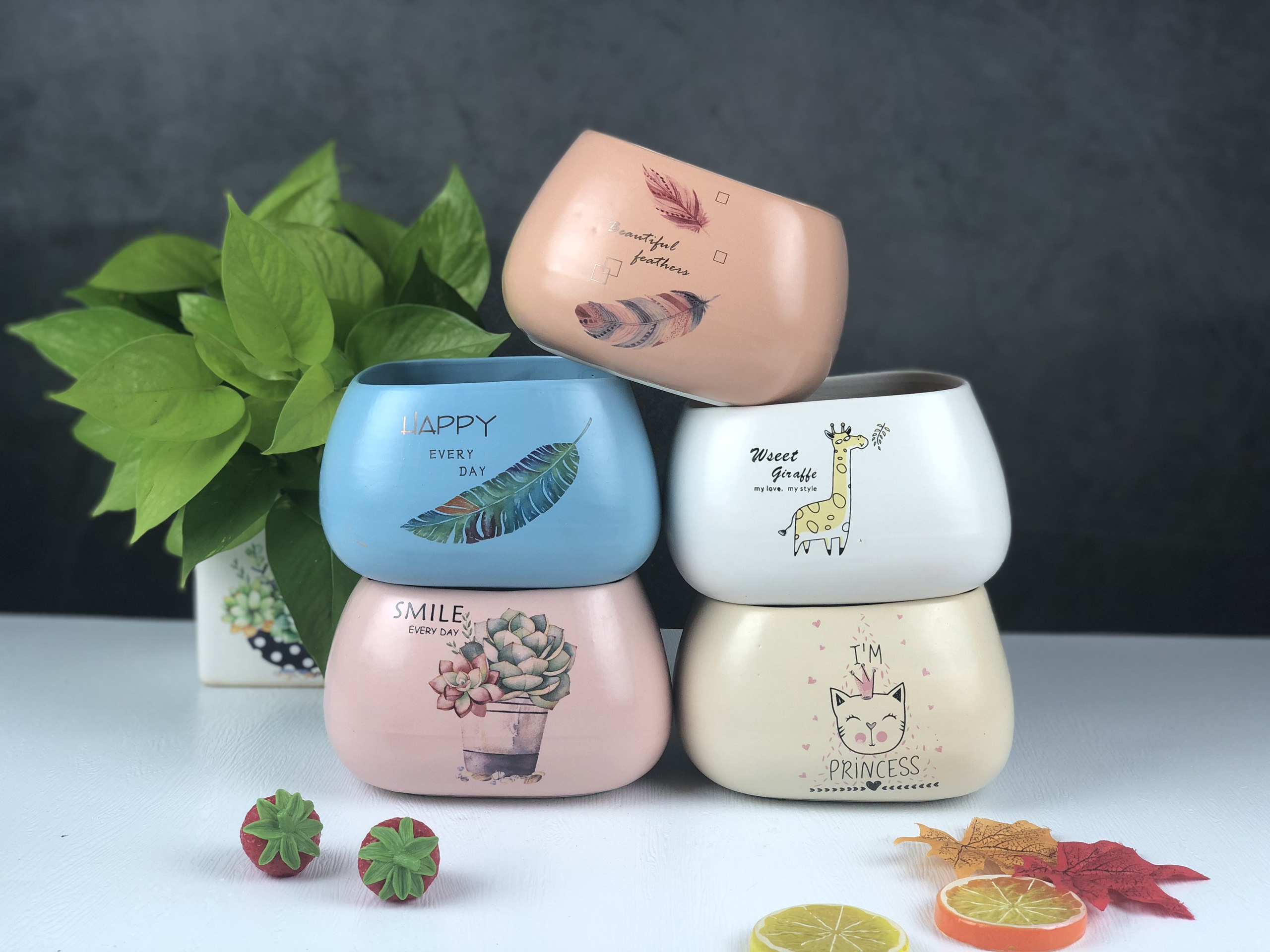 [HCM]Chậu để bàn - Chậu mini - Chậu trồng cây dáng Angsa cao in hình