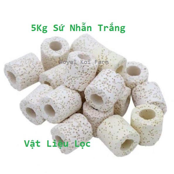 5kg sứ nhẫn trắng sứ lỗ vật liệu lọc nước