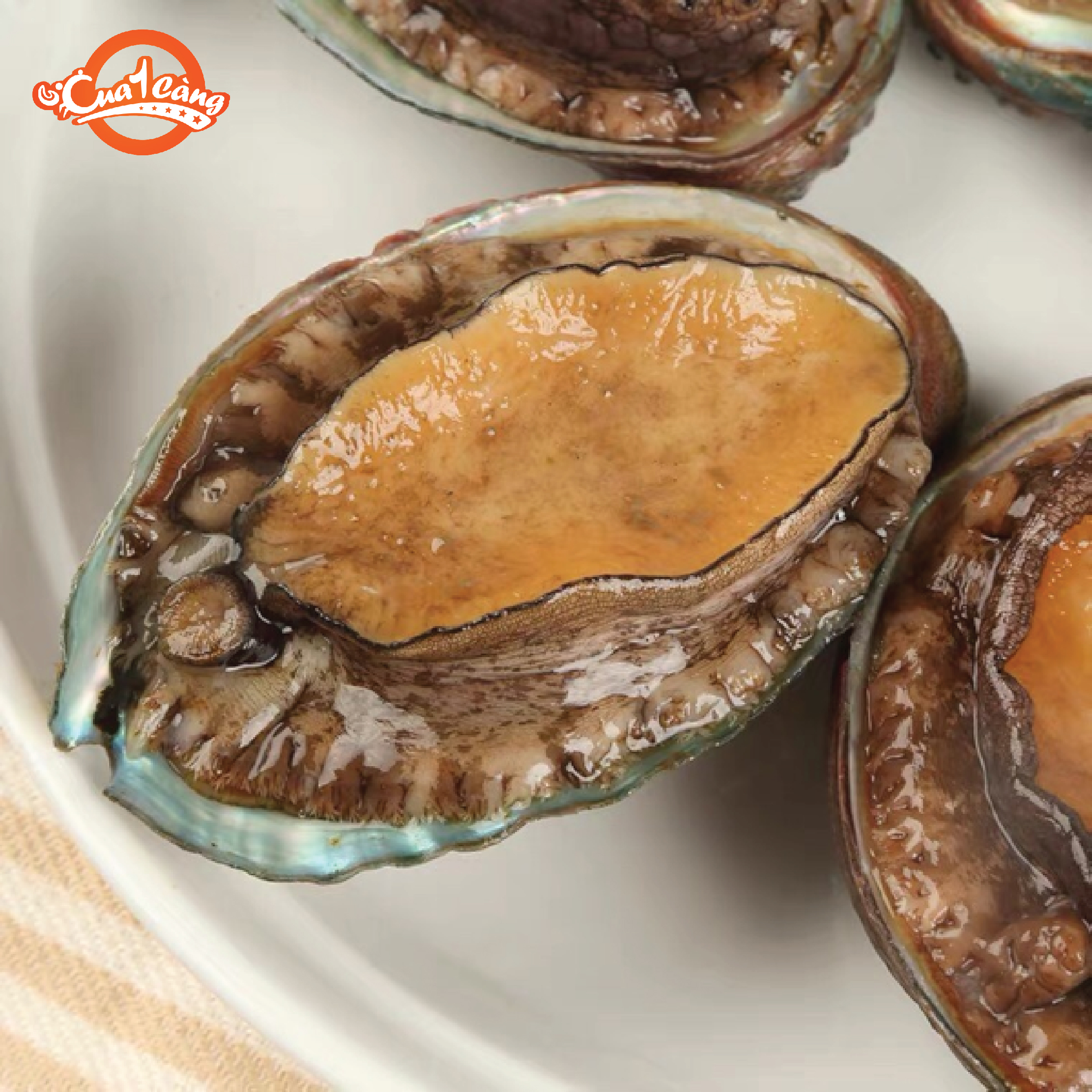 Bào ngư hàn quốc - giao nhanh 4h