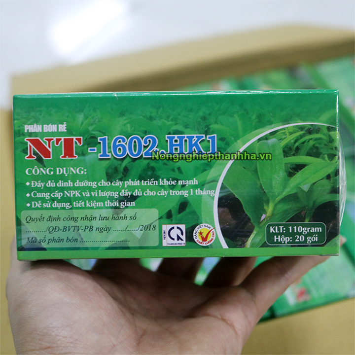 Phân bón lan HVP 1602.HK1 giai đoạn trưởng thành