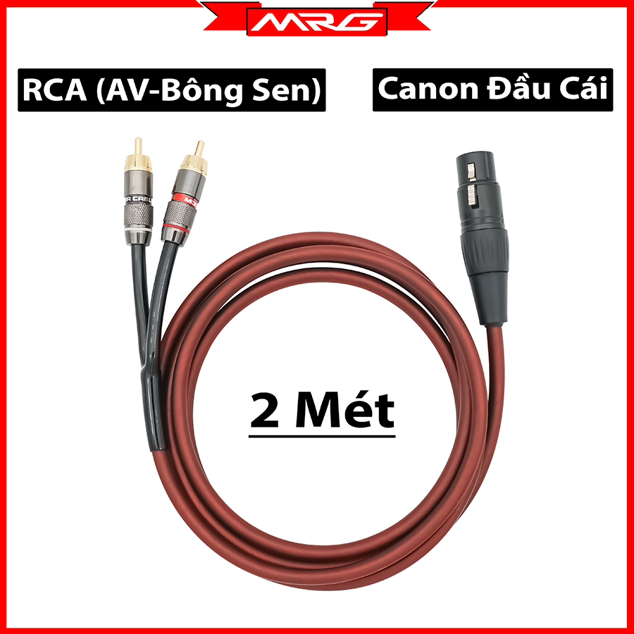 Dây Canon Cái Ra 2 Đầu Hoa Sen (2 Met) | Dây Vang Số | Dây Kết Nối Vang Số | Dây Kết Nối Máy Tính Với Vang Số | Dây Cáp Vang Số | Dây Canon Cái Ra Bông Sen | Dây Canon Bông Sen | Dây Canon Ra Hoa Sen | Dây Canon Rca