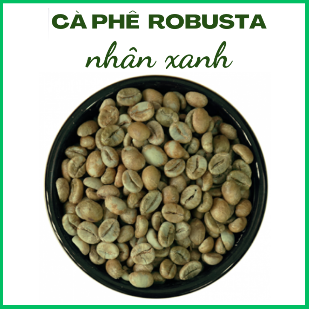 CÀ PHÊ HẠT NHÂN SỐNG CHƯA RANG ROBUSTA 1kg /1 BỊCH