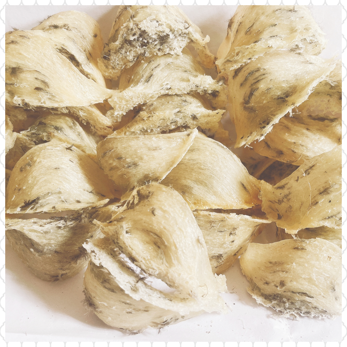 Nhíp nhặt lông yến