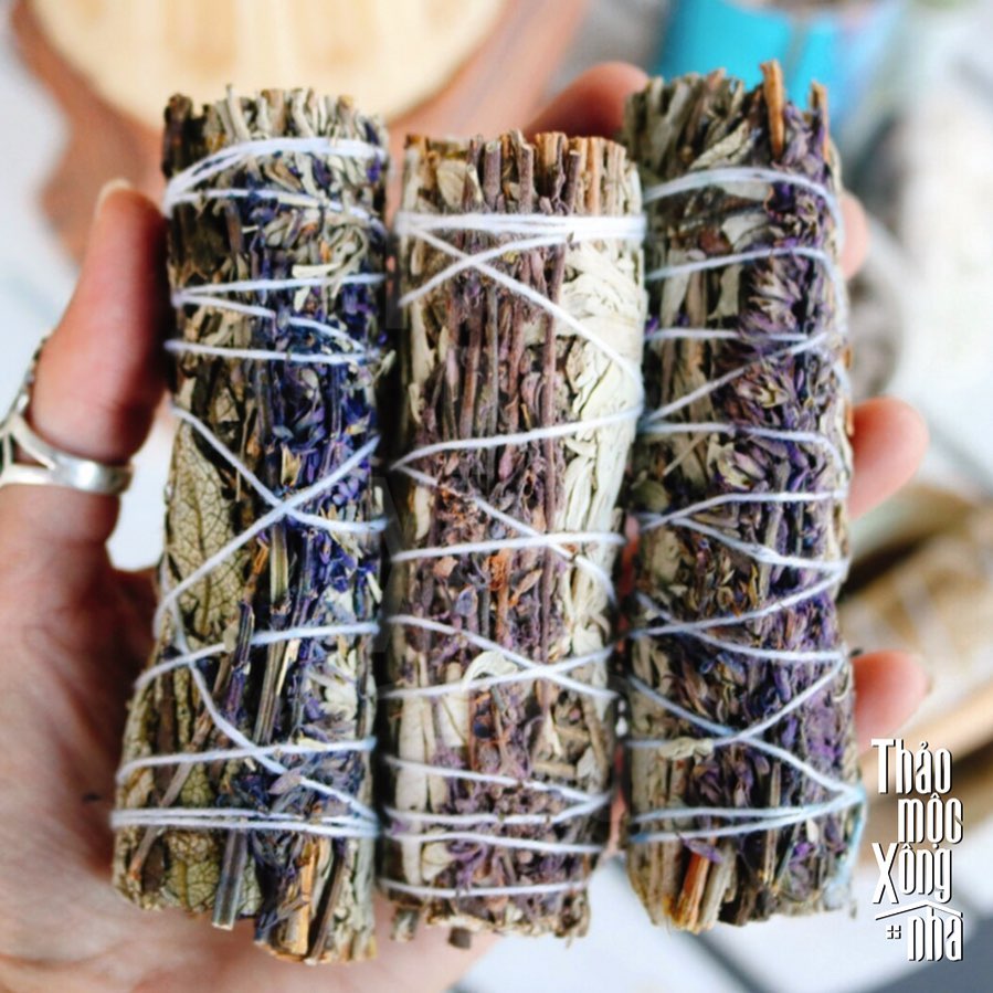 Xô tím - lavender sage - thảo mộc xông nhà