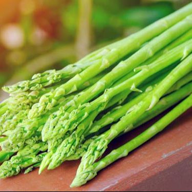 Hạt giống măng tây Xanh F1