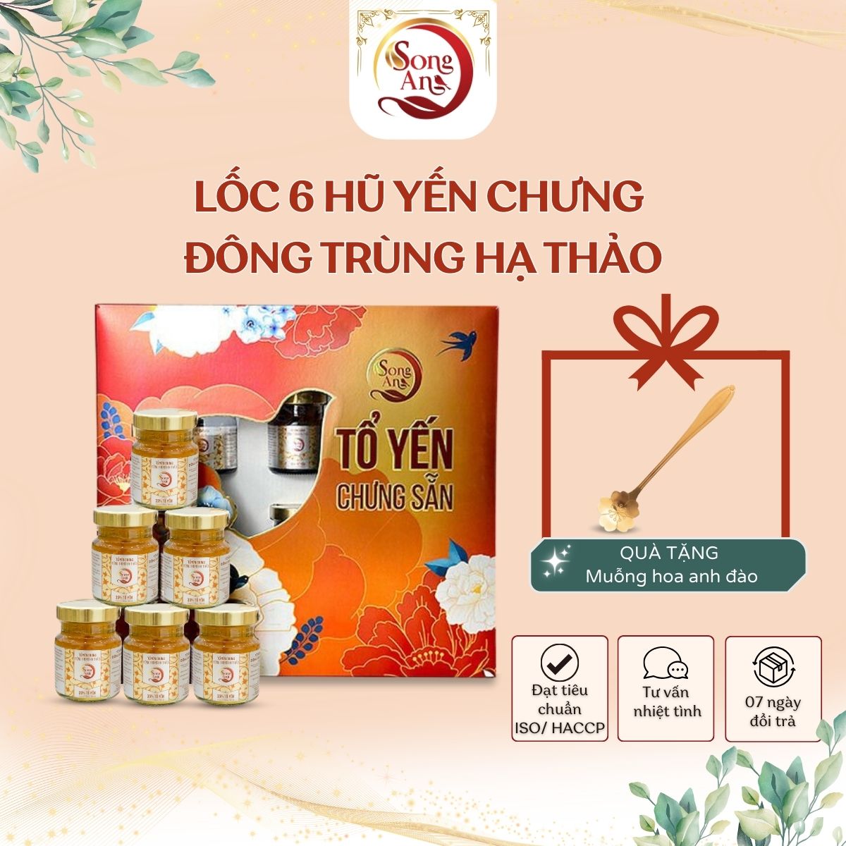 Lốc 6 hũ tổ yến chưng, nước yến chưng đông trùng hạ thảo Song An Food bổ sung dưỡng chất bồi bổ sức khỏe hũ 70ml hộp quà cao cấp biếu tặng