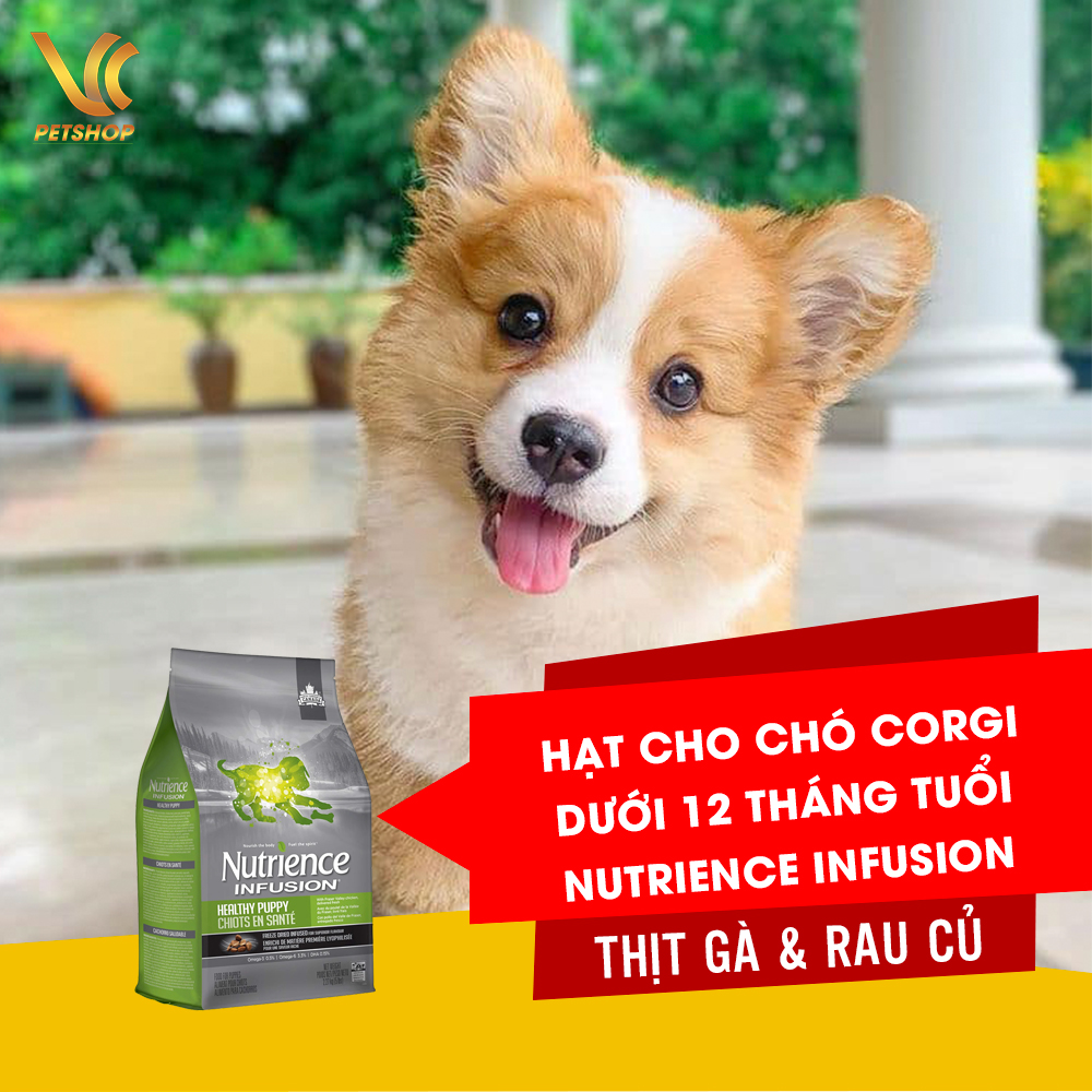 Thức Ăn Hạt Cho Chó Corgi Con Từ 1 Đến 12 Tháng Tuổi|Nutrience Infusion Vị Thịt Gà & Rau Củ | VC Pet Shop