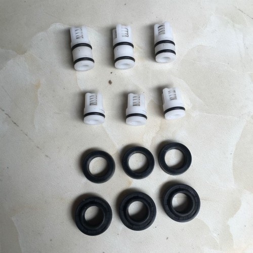 Phớt máy rửa xe áp lực mini- van 1 chiều