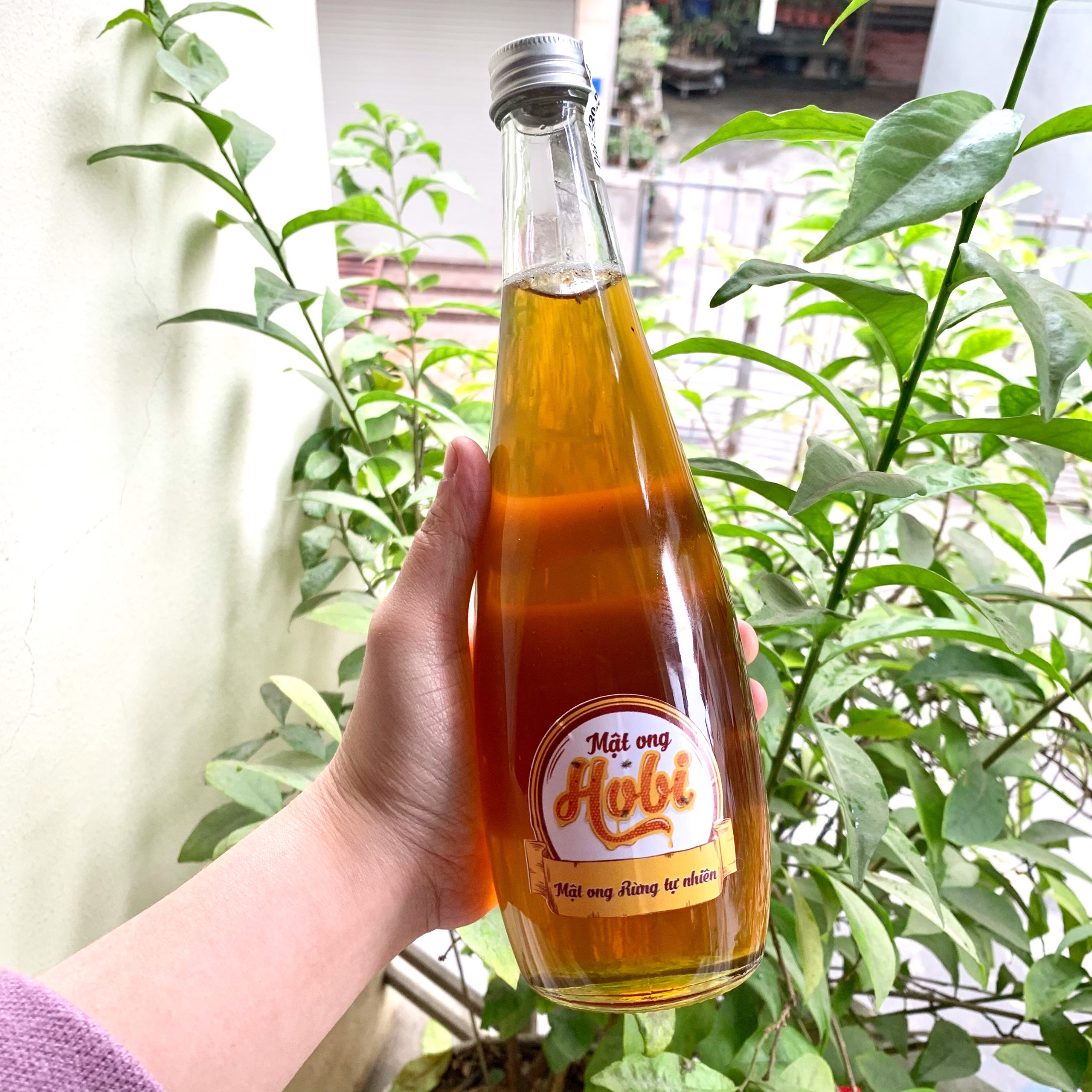 Mật ong rừng Hobi 500ml