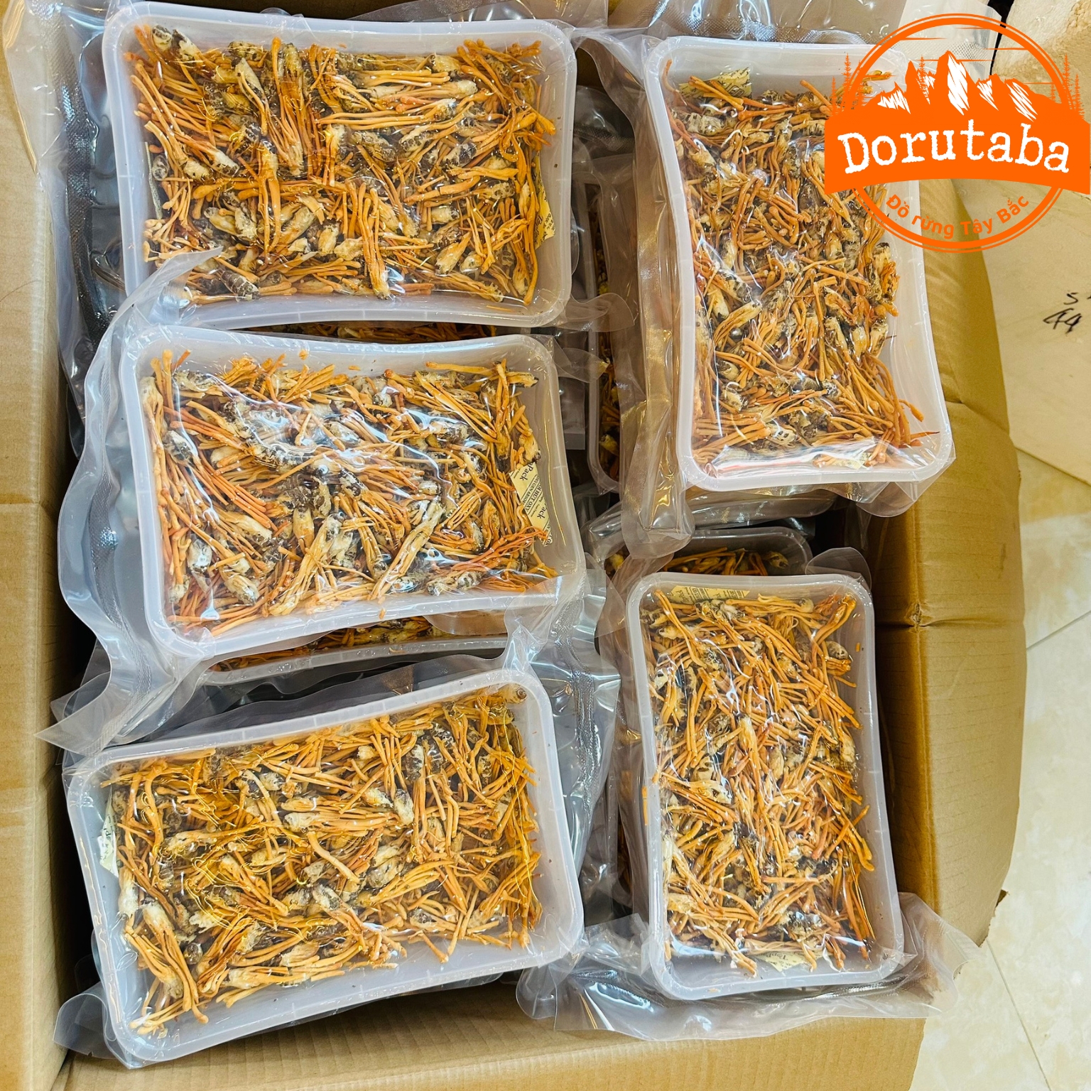 Đông trùng hạ thảo loại nguyên con sấy khô thăng hoa, nấm đông trùng hạ thảo Huy Cương pha trà, ngâm rượu, mật ong